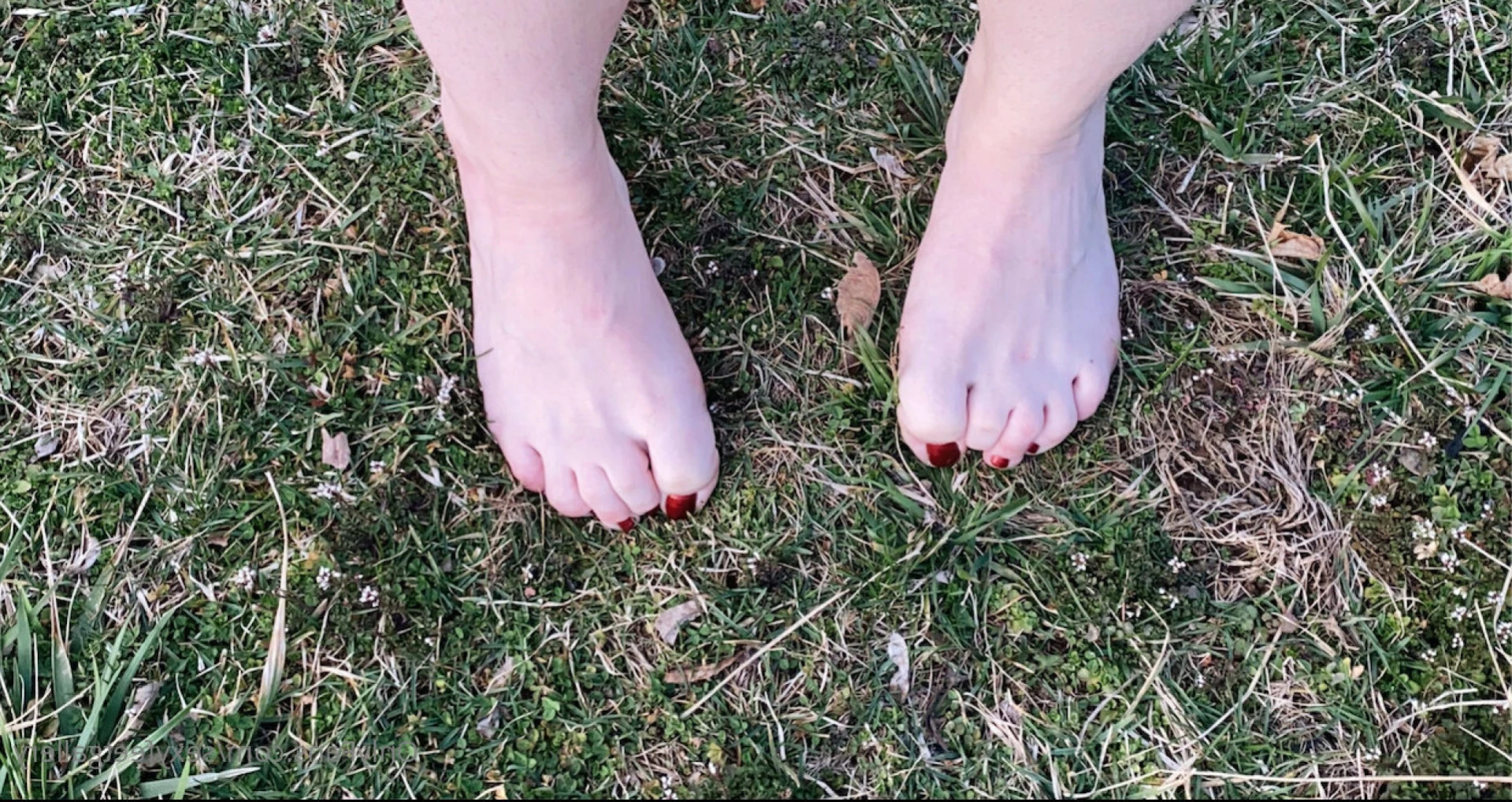 sexyfeetgallery Onlyfans leaked photo 11968965 on Hotleaks.tv