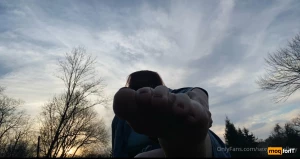 11981147
