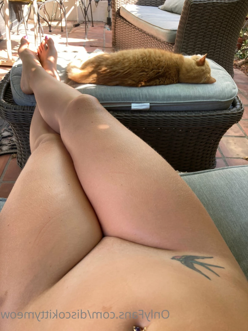 Kitty Baby 😻 [ discokittymeow ] Onlyfans leaked photo 14842111 on Hotleaks.tv