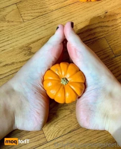 11715847