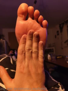 17576582