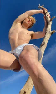 17298562