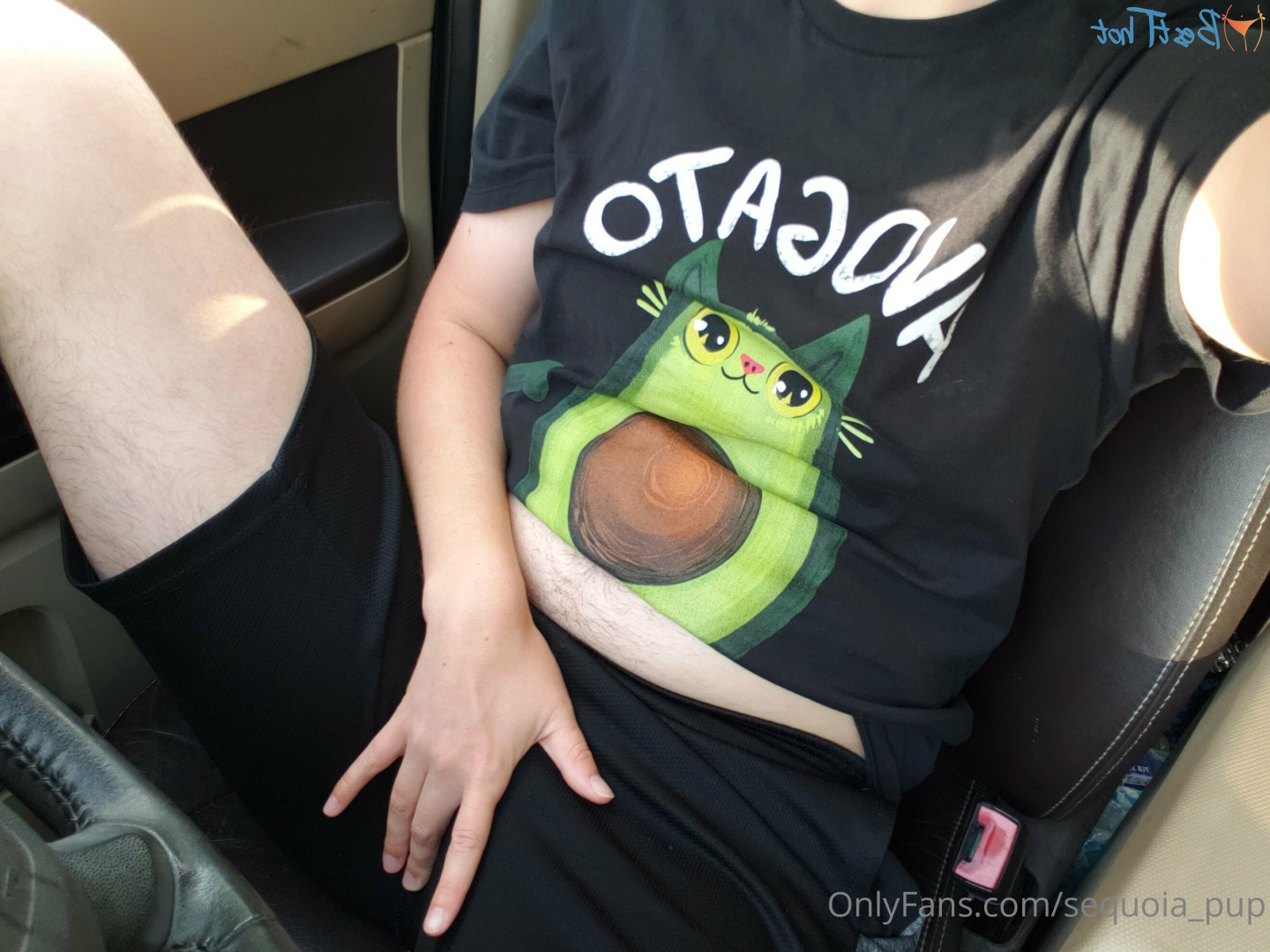 sequoia_pup Onlyfans leaked photo 17577944 on Hotleaks.tv