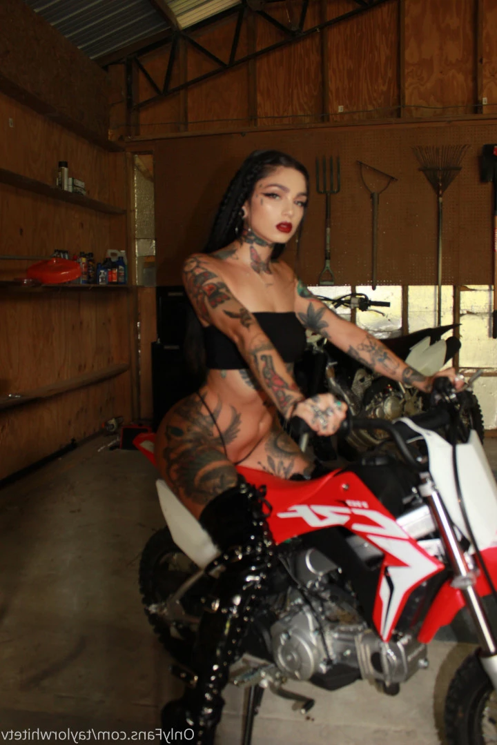 Taylor white [ taylorwhitetv ] Onlyfans leaked photo 9640117 on Hotleaks.tv