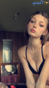 18316613