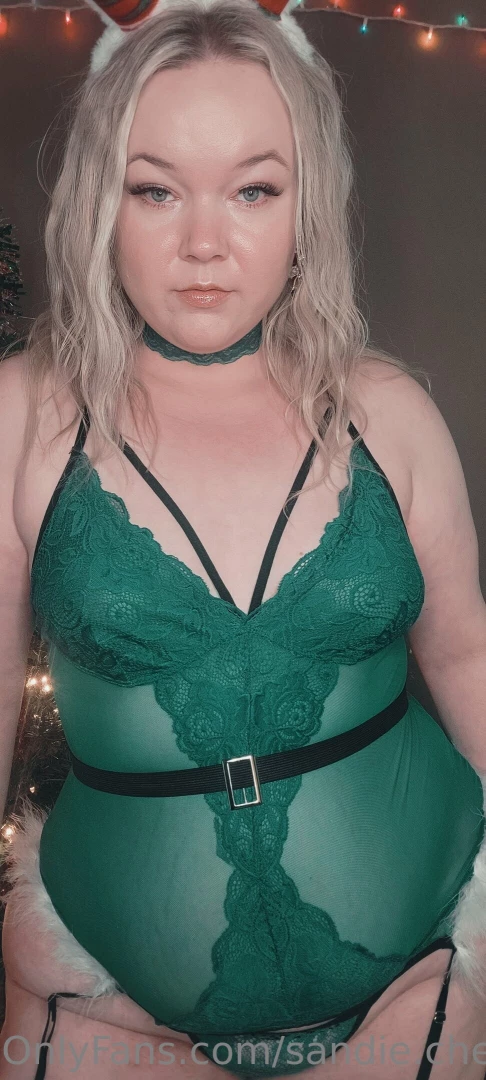 sandie.cheeks [ sandie-cheeks ] Onlyfans leaked photo 18327606 on Hotleaks.tv