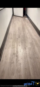 18471273