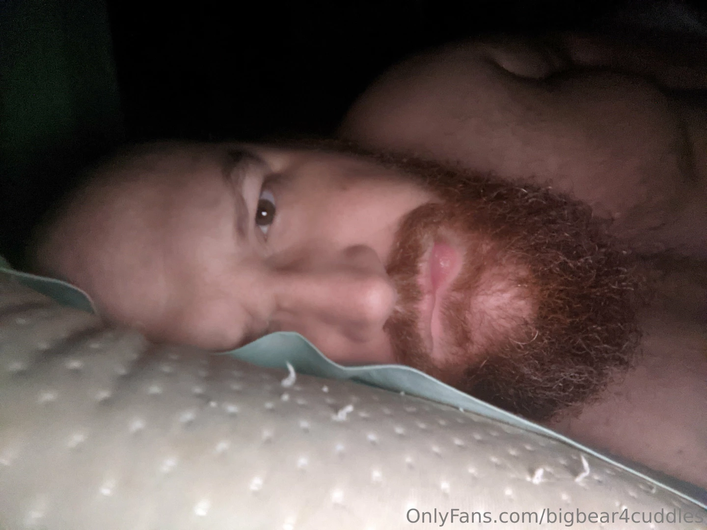 bigbear4cuddles Onlyfans leaked photo 18551842 on Hotleaks.tv