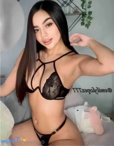 18594618