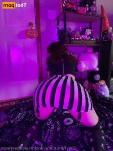 18662902