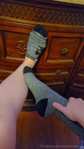 18686597
