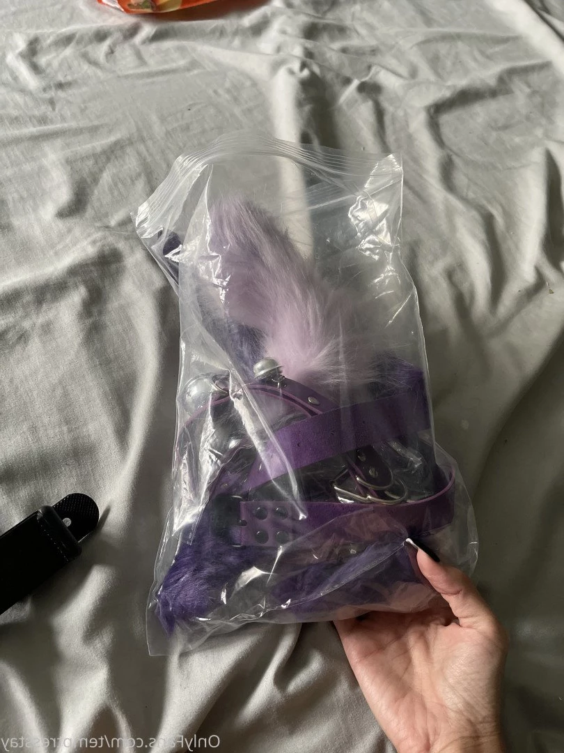 lil asian princess TOP 3.3% [ temptresstay ] Onlyfans leaked photo 1840783 on Hotleaks.tv