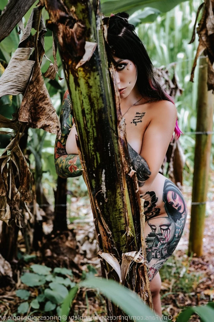 GF Xperience [ theprincesspineapple ] Onlyfans leaked photo 1842331 on Hotleaks.tv