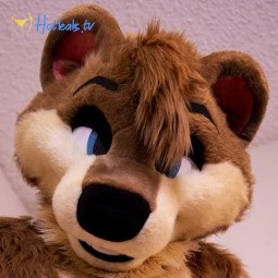 Big Pawbs