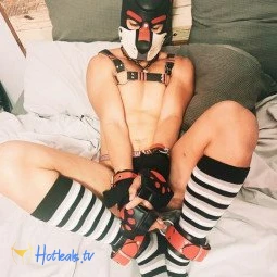 pupperarchie