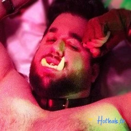 TheBearWannabe