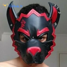 pupgaara